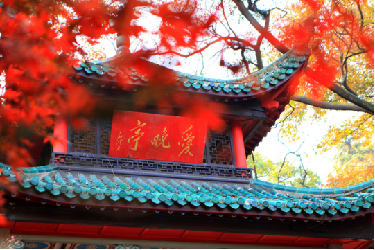 &#121;&#104;&#56;&#54;&#38134;&#27827;