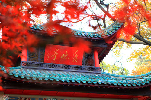 &#121;&#104;&#56;&#54;&#38134;&#27827;